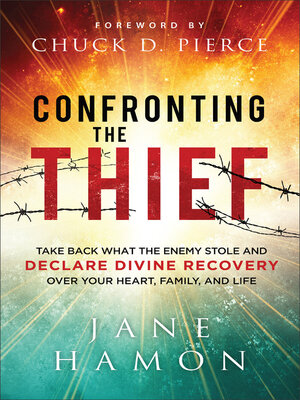 cover image of Confronting the Thief